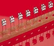 Littelfuse 5 mm Fuse Clip Taped for Automated Insertion, 111/519 Series